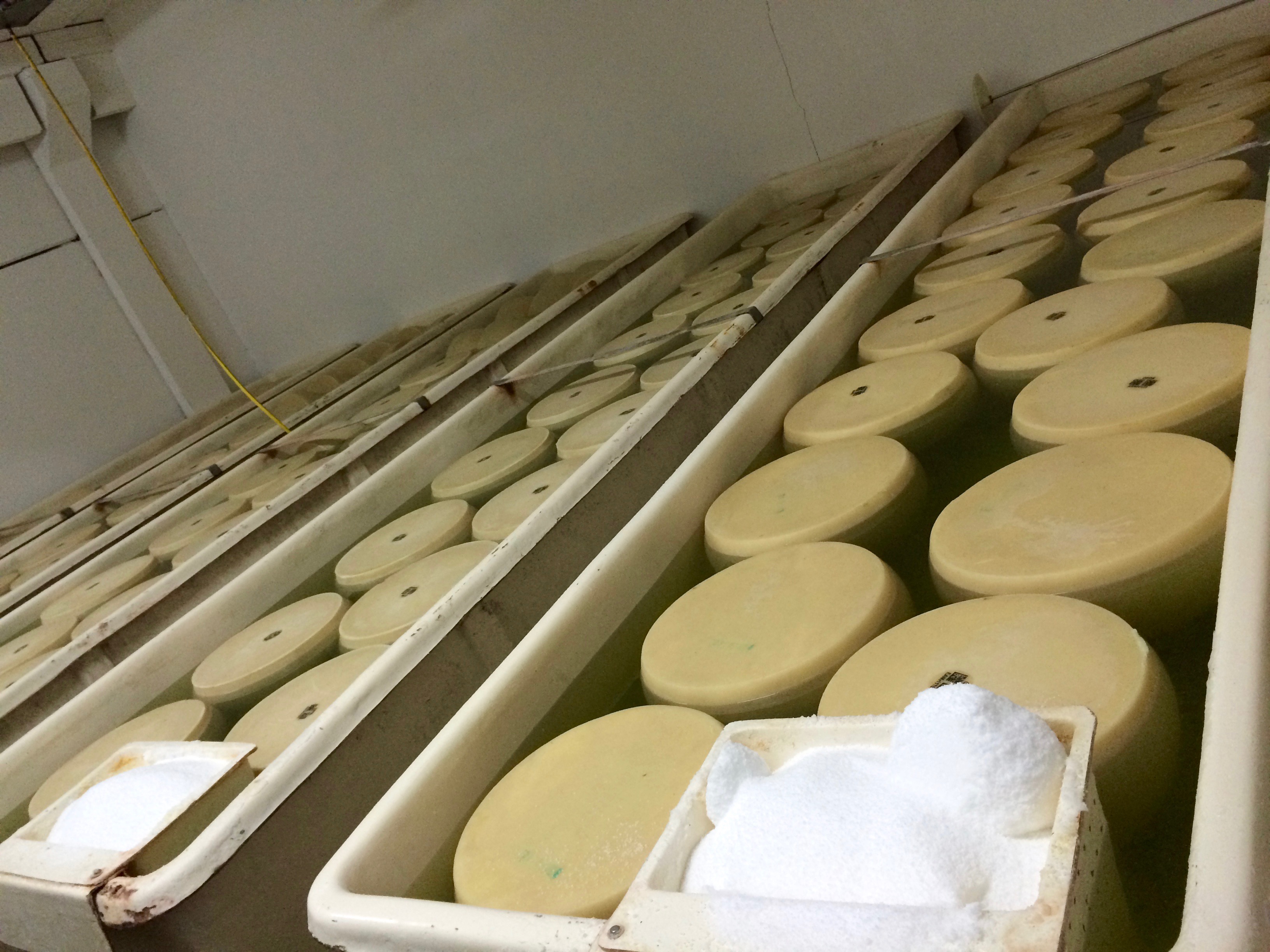 Learning about the process of making Parmigiano Reggiano during our Modena Food Tour