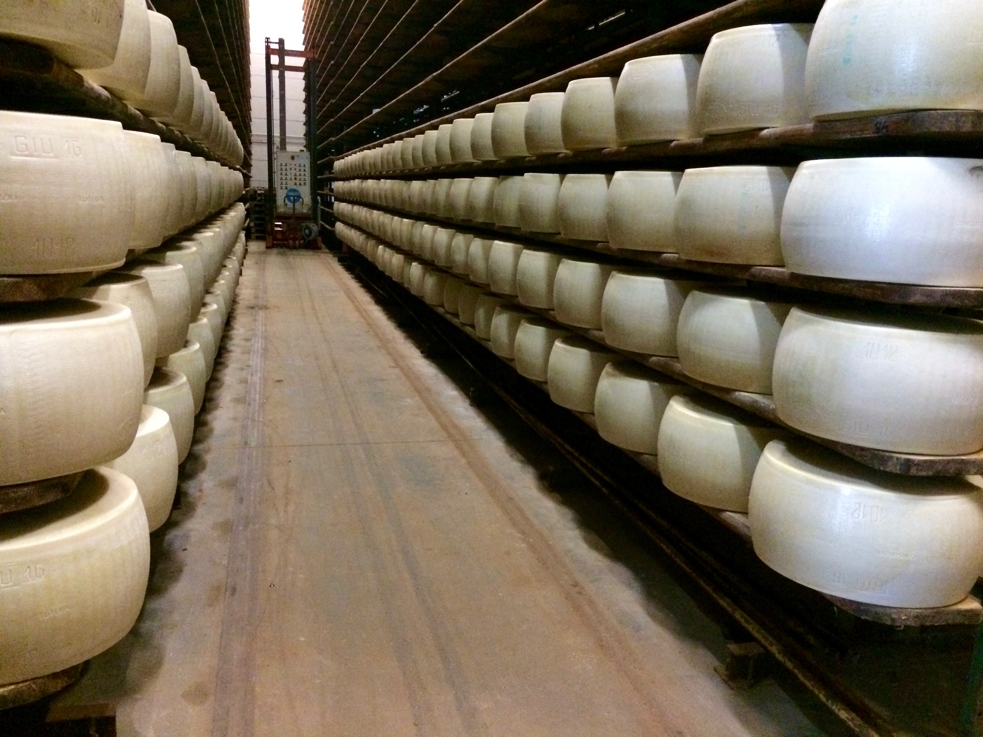 Countless wheels of cheese during our Parmigiano Reggiano Modena Food Tour