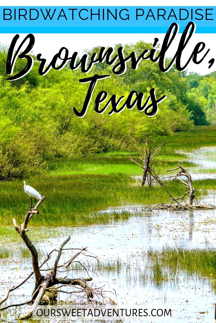 15 Of The Best Things To Do In Brownsville, Texas - A Weekend Guide