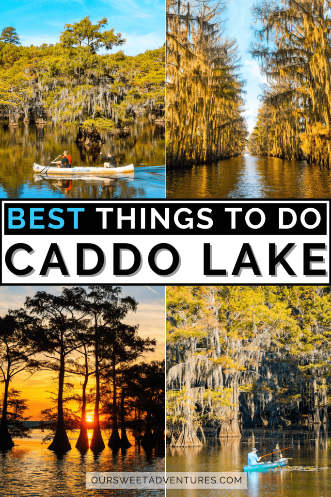 caddo lake alligator tours