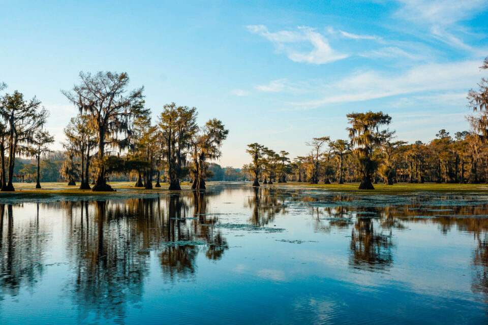 Best Things to Do at Caddo Lake - on the Texas Side