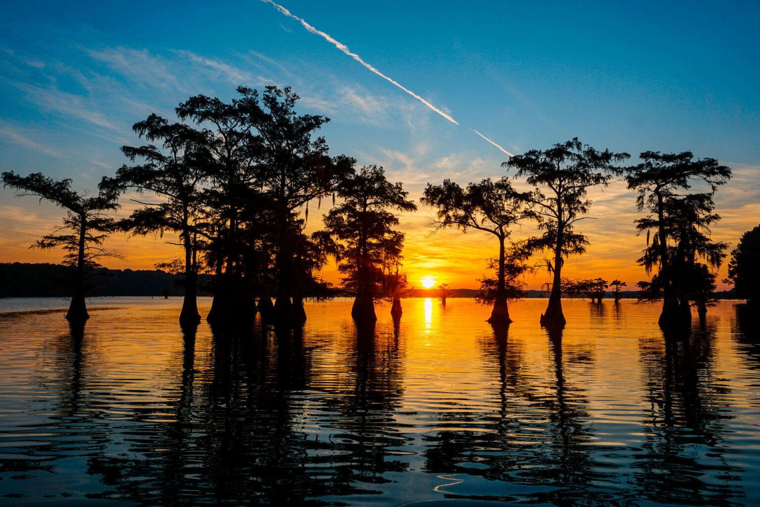 Best Things to Do at Caddo Lake on the Texas Side