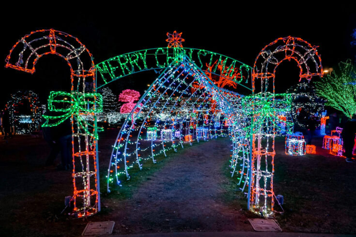 The Ultimate List Of Christmas Things To Do In Dallas