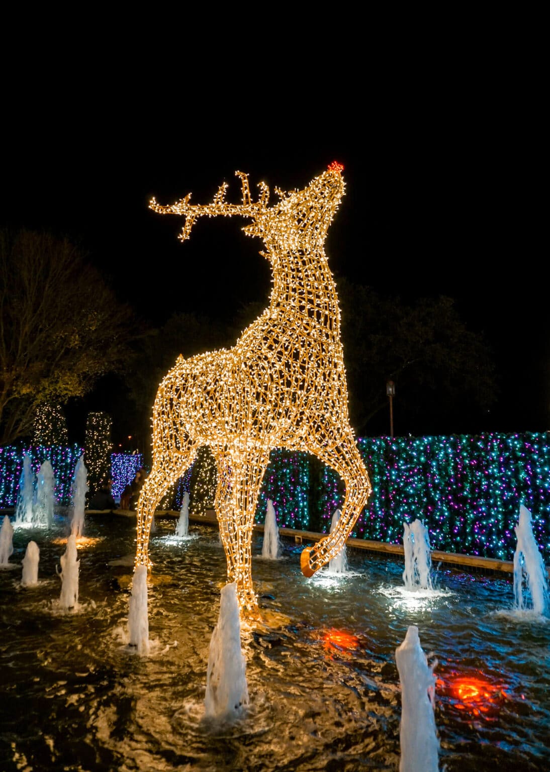 The Ultimate List of Christmas Things to Do in Dallas