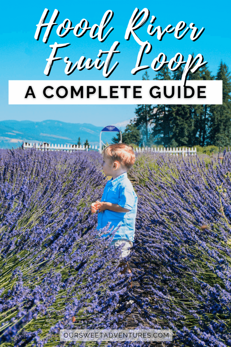 The Best Stops on the Hood River Fruit Loop A Complete Guide