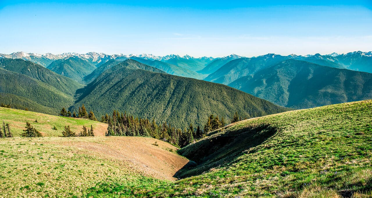 High Ridge Hurricane Ridge The Ultimate Itinerary for 3 Days in Olympic National Park