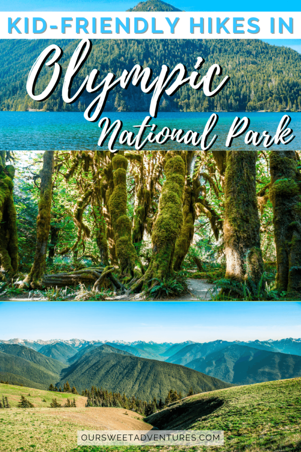 16 Best Kid-friendly Hikes In Olympic National Park