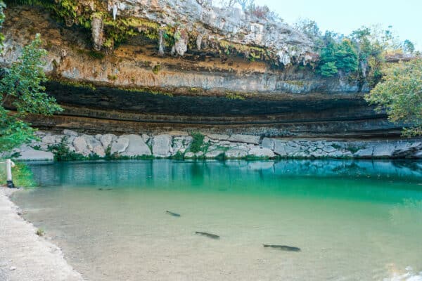 Best Things to Do in Dripping Springs, Texas