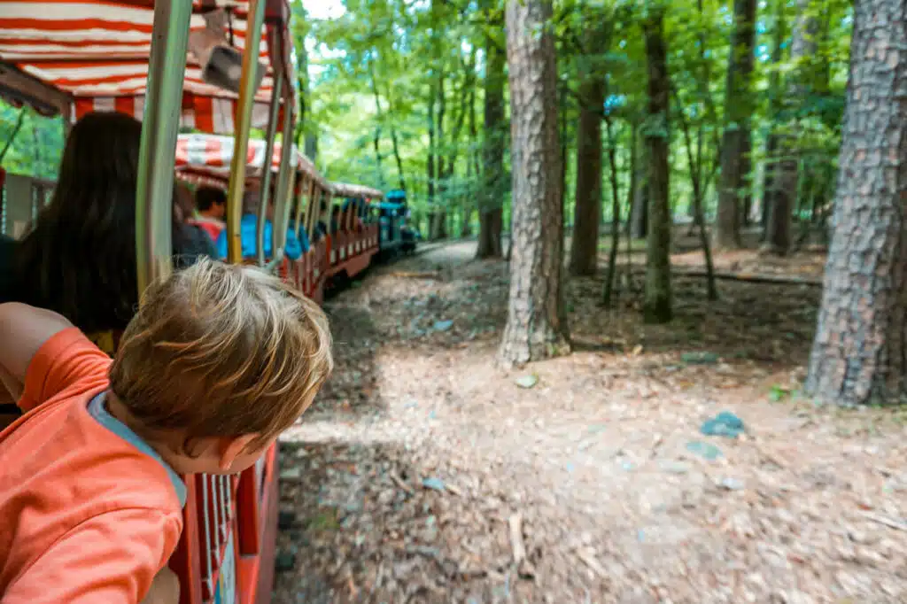 A toddler boy looking out from a train and into the dense forest—this train ride is one of the best things to do in Broken Bow with kids.